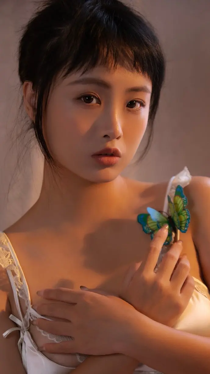 金税三期系统界面